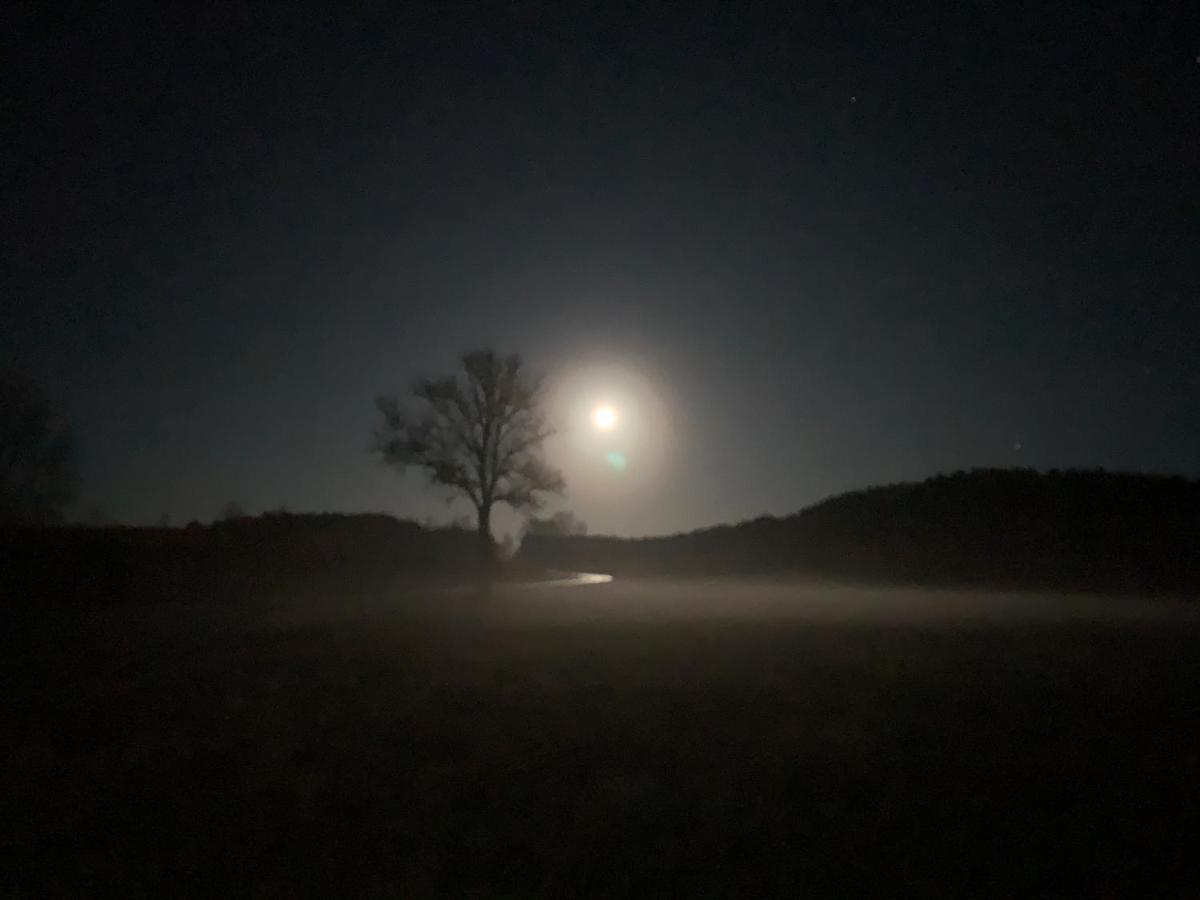 Agroturystyka Gesiniec Stare Osieczno Екстериор снимка